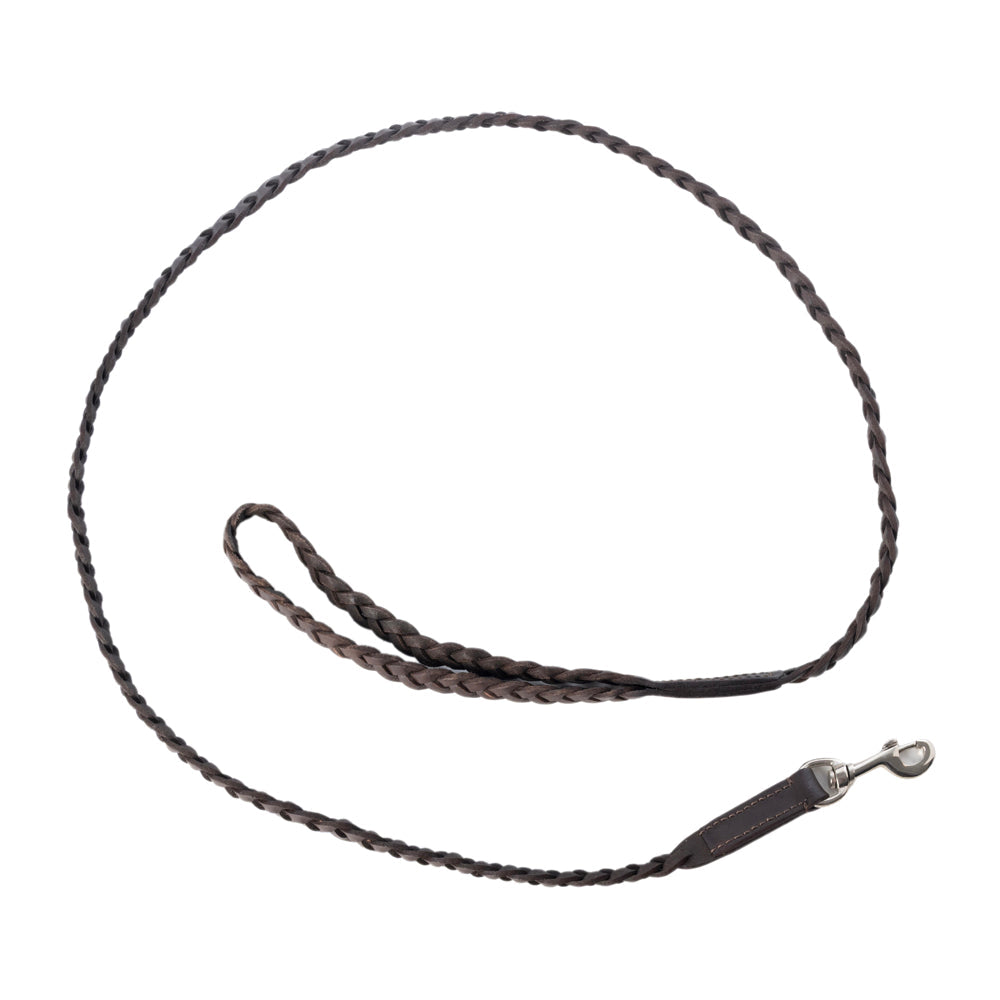 Trailbound Leather Dog Leash in Rustic Brown with Braided Design and Metal Hook